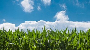 nature_sky_sunny_clouds.jpg